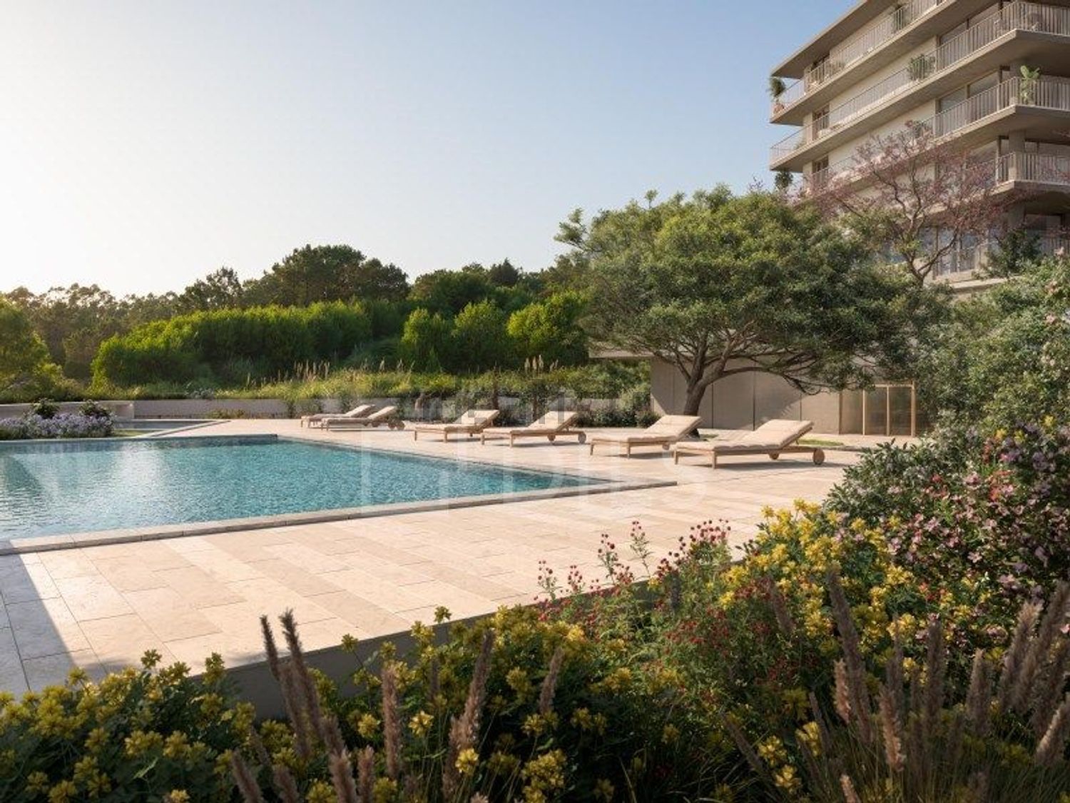 公寓 t1出售在Belas Clube Campo - 游泳池