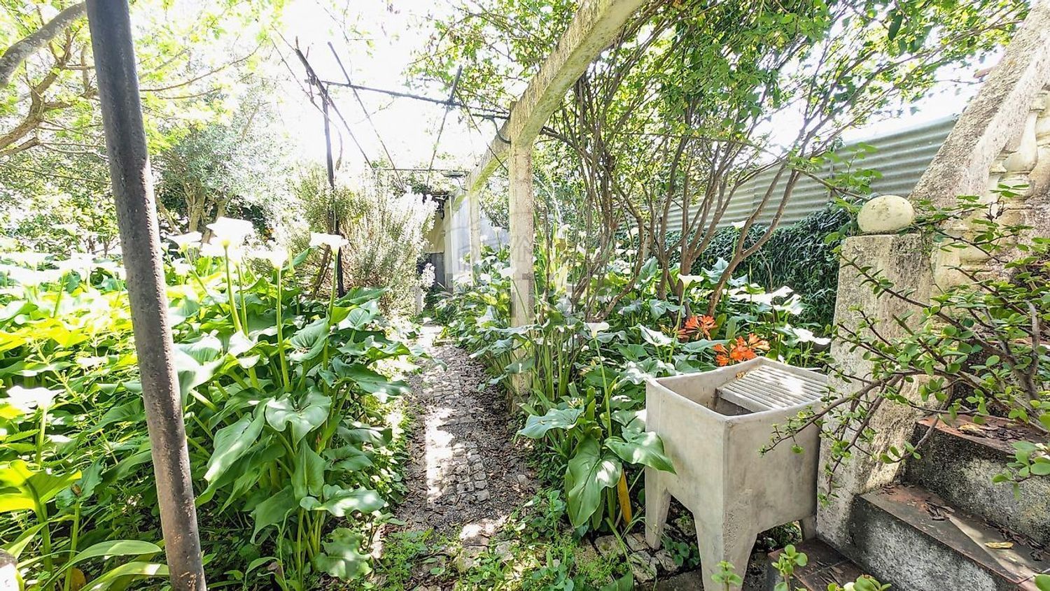 小楼房或独栋别墅出售在Rua 1º de Maio - 花园