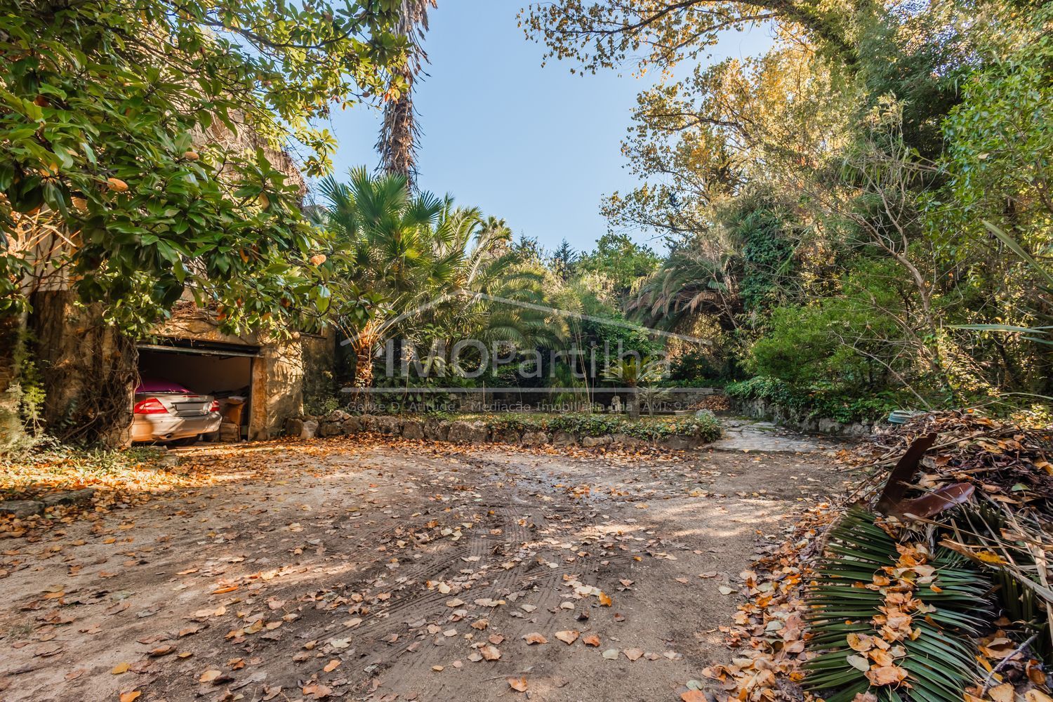 庄园出售在Alameda das Acácias - 花园