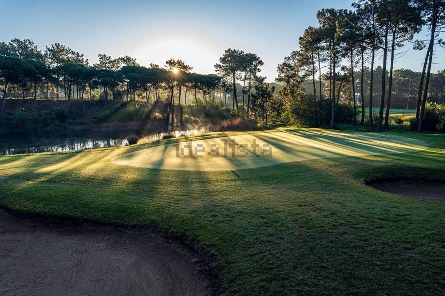 出租小楼房或独栋别墅在Rua das Margaridas, 20 - 周边