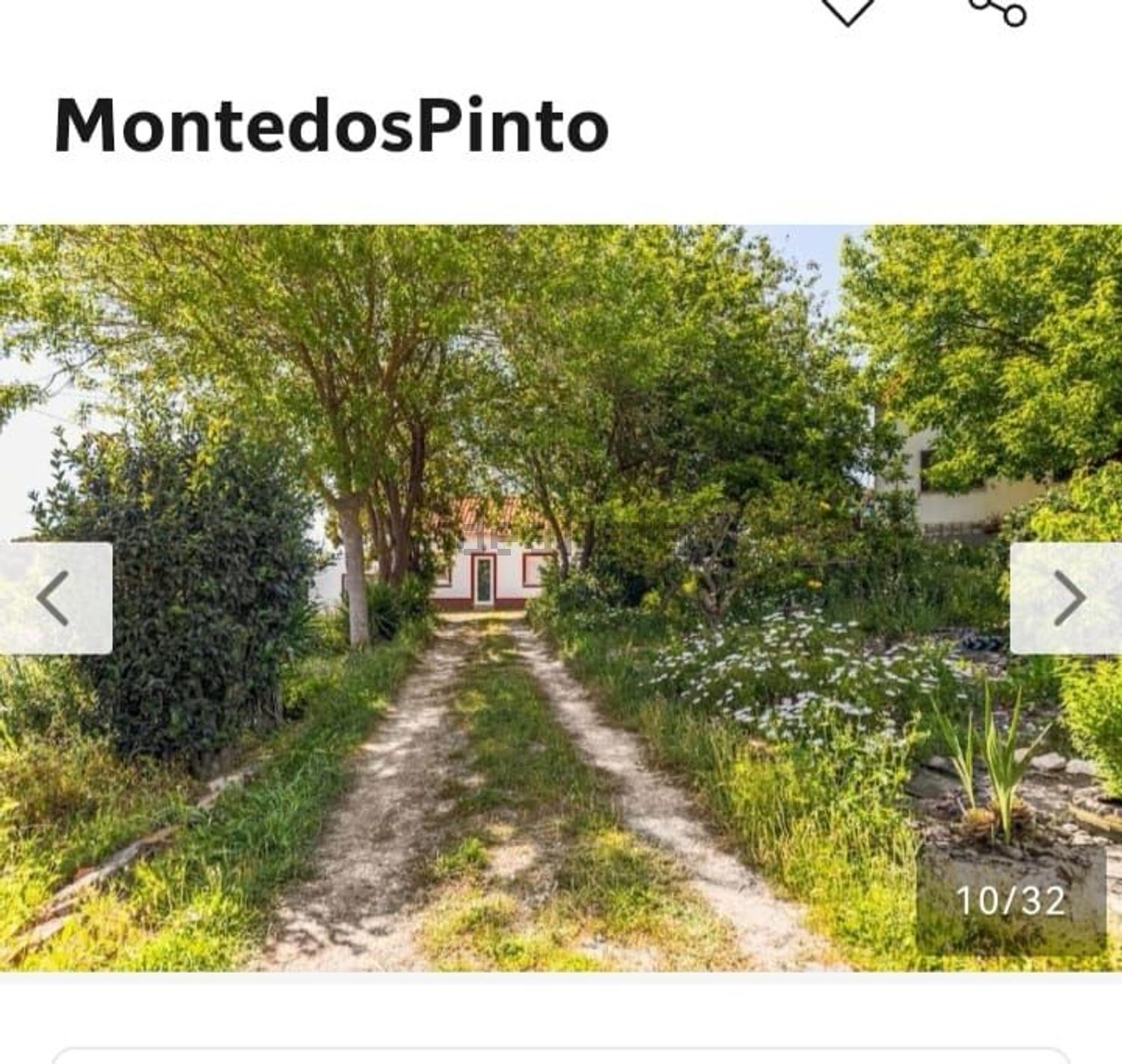 出租庄园Casais da serra azeitao, 2925 Azeitao - 花园