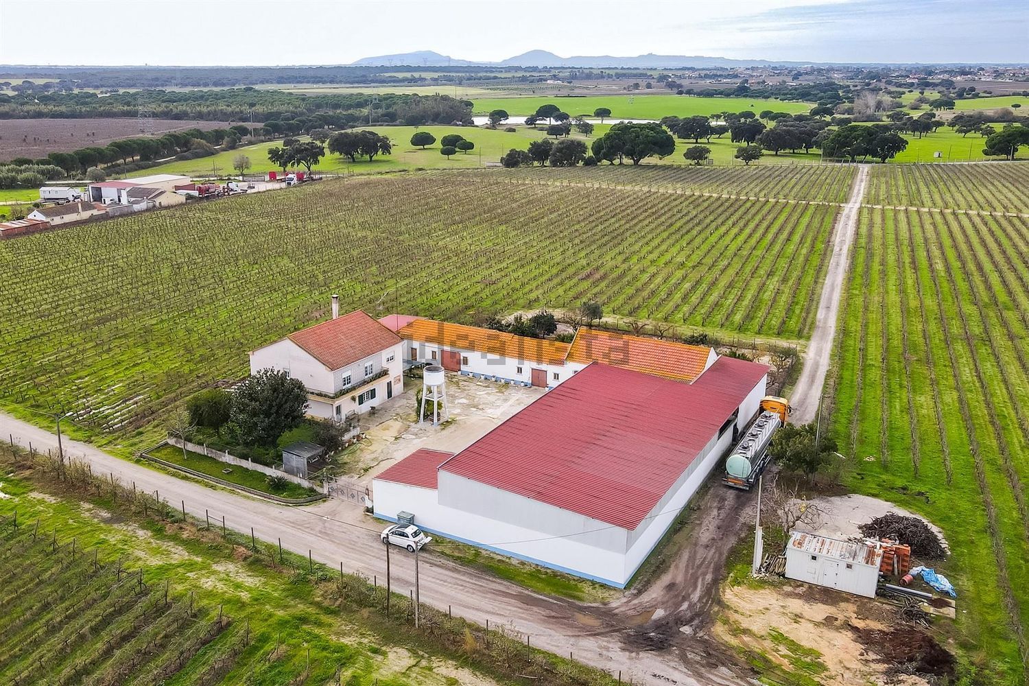 庄园出售在Rua Abel Ferreira, 46 - 照片