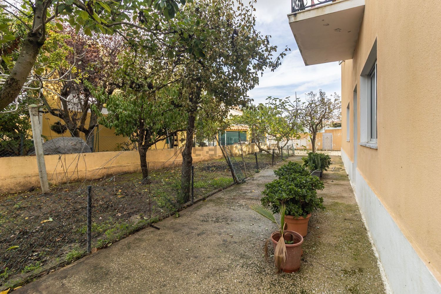 小楼房或独栋别墅出售在Avenida Padre Nabeto - 花园