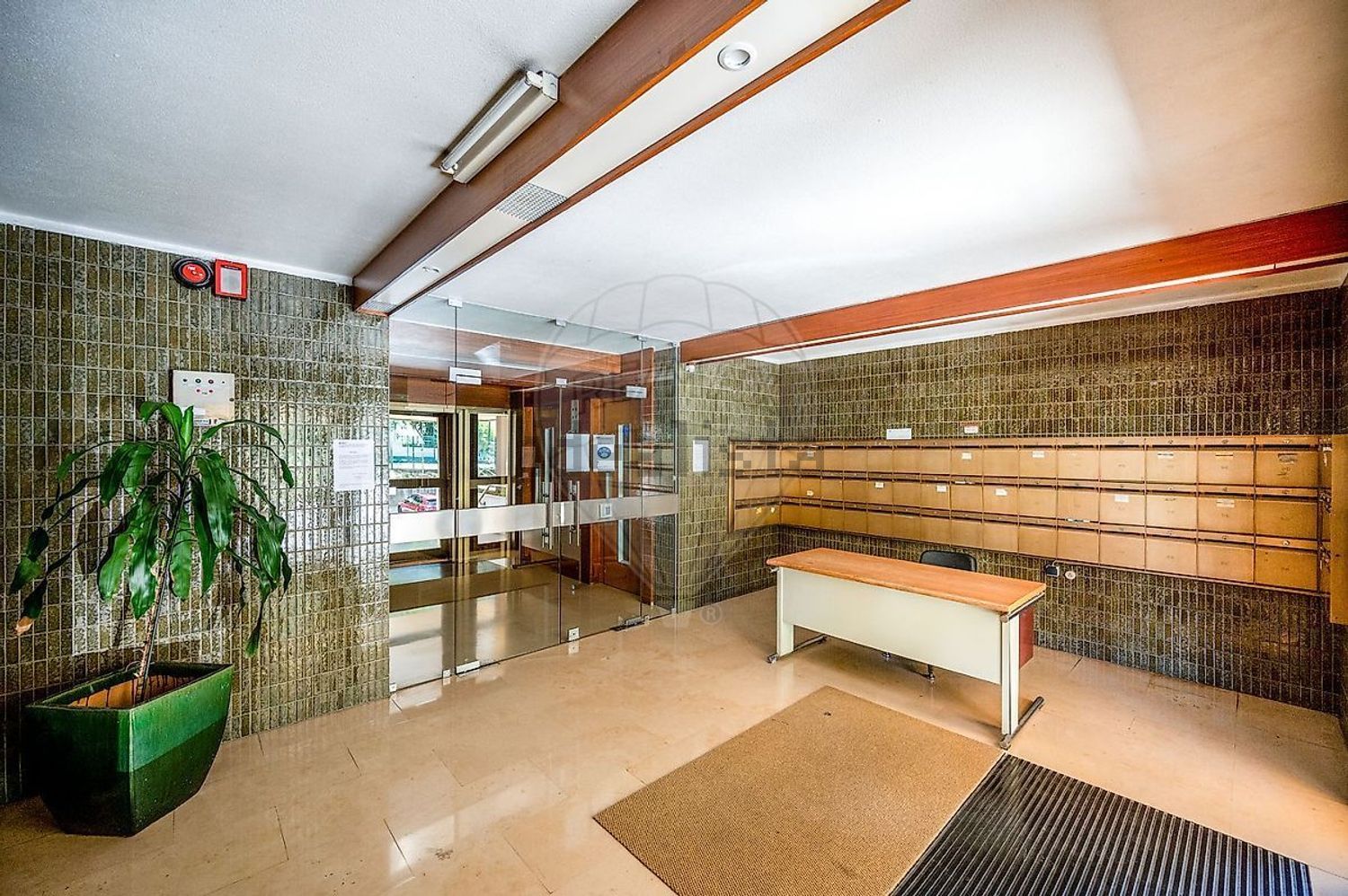 出租公寓 t2在Rua Maria Veleda - 照片