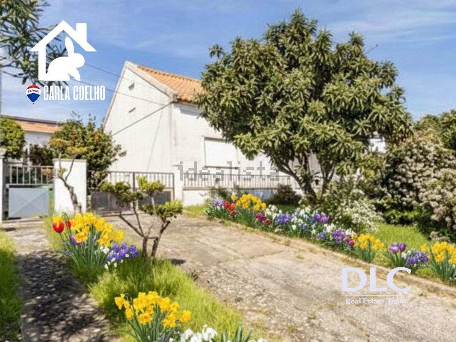 小楼房或独栋别墅出售在Rua Padre Cruz - 外立面