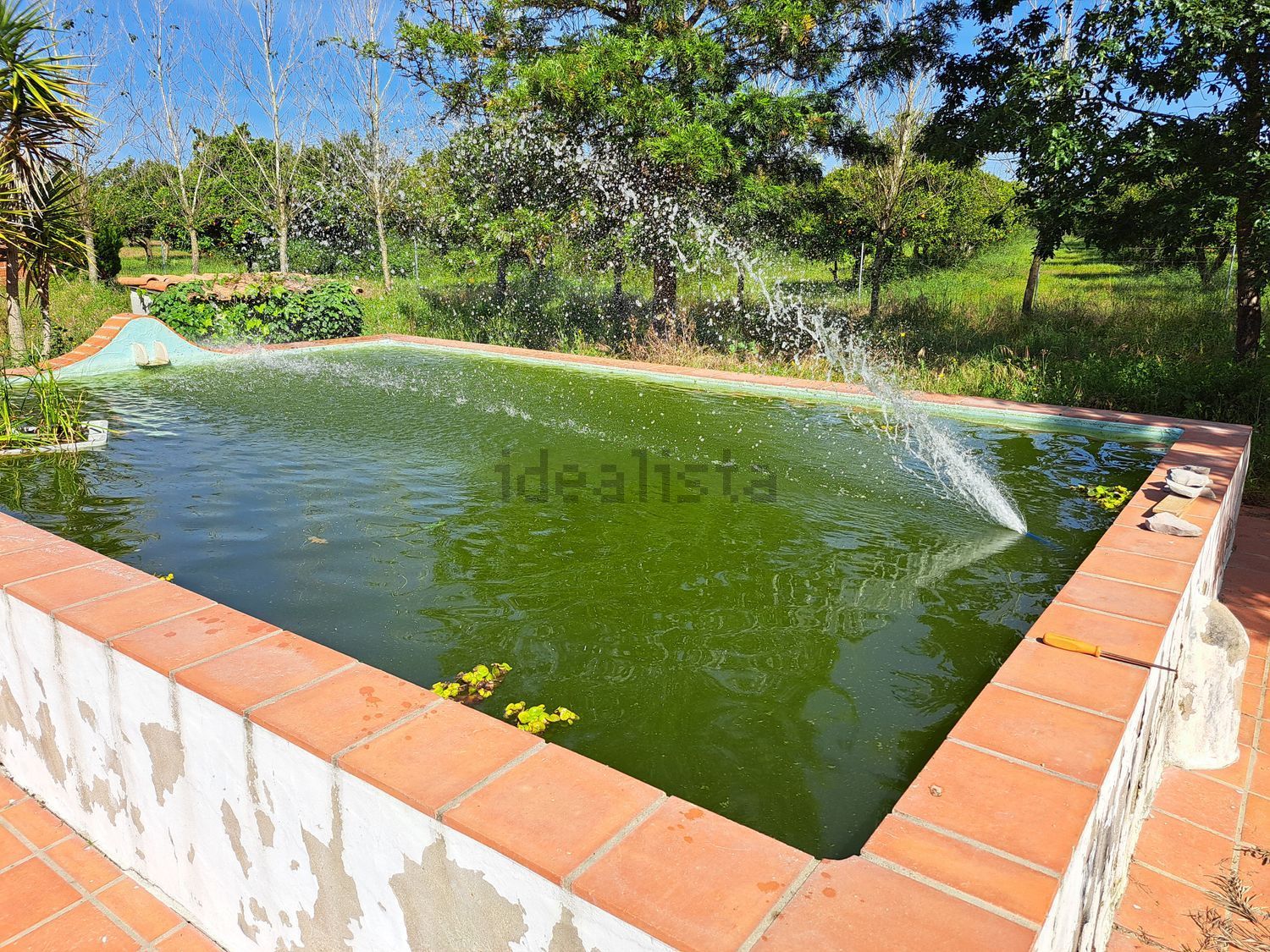 庄园出售António Aleixo, 204 2985-156, 204 - 游泳池