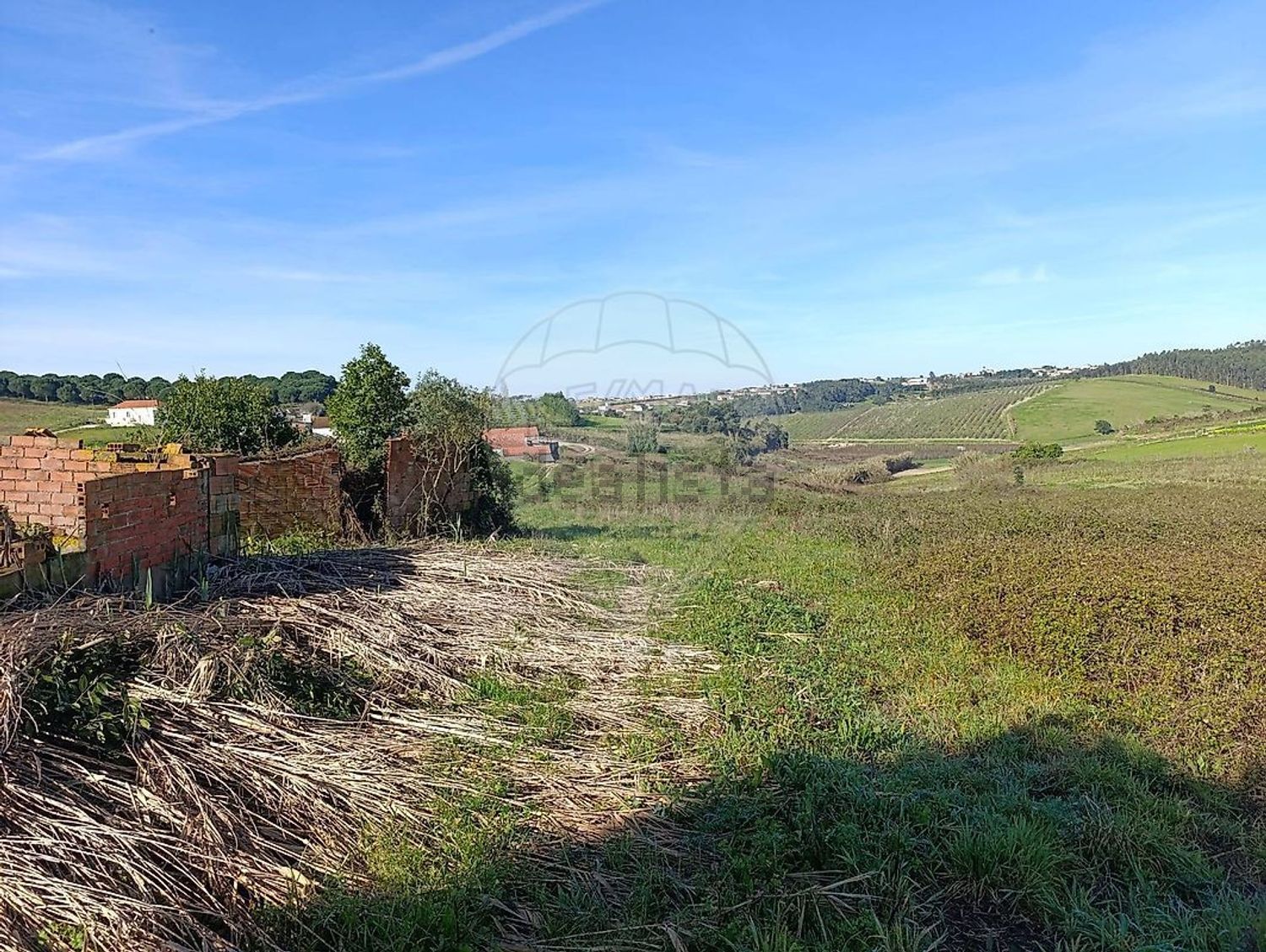 小楼房或独栋别墅出售在Rua Almeida - 花园