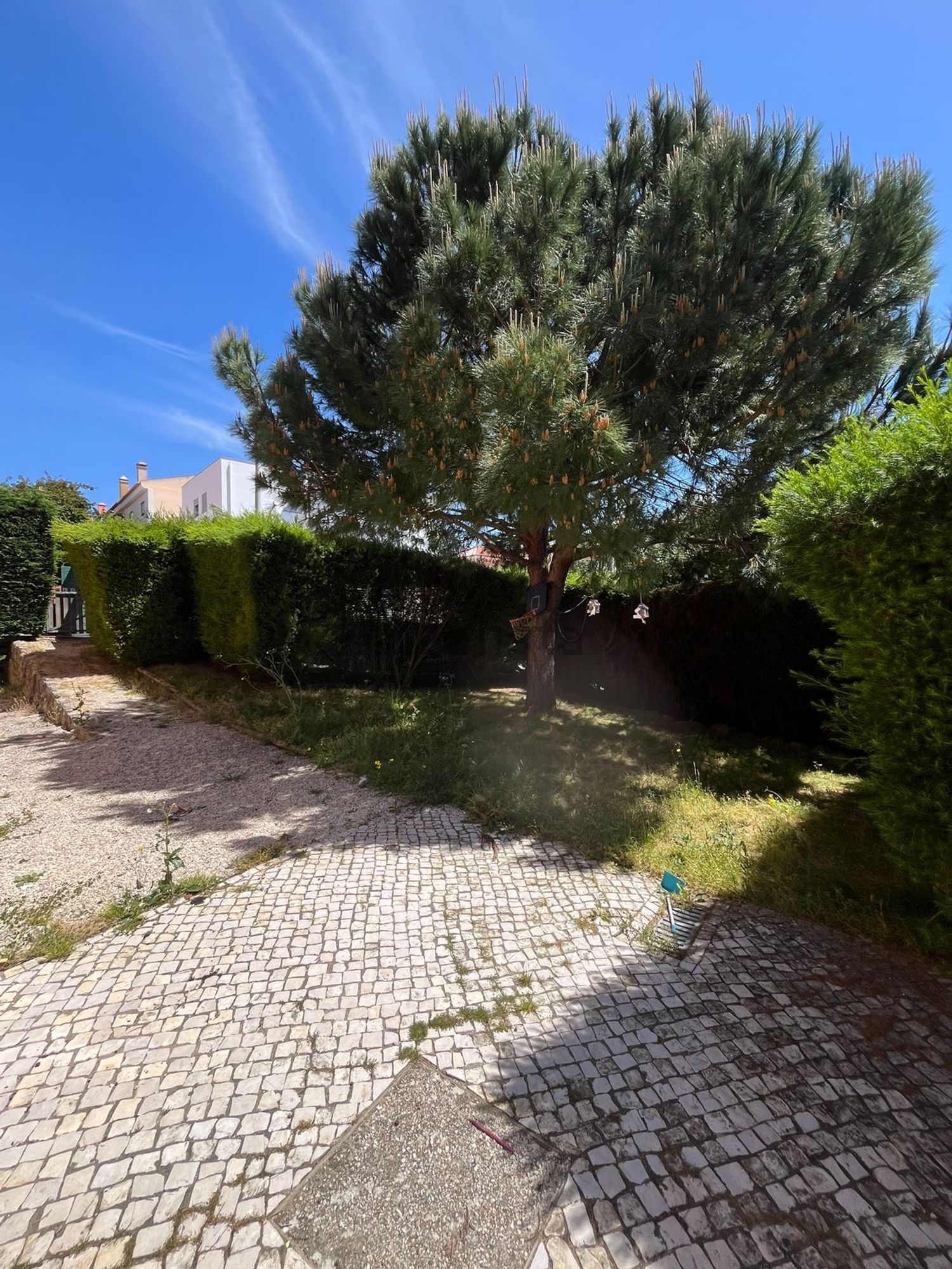 出租公寓 t3在Rua Avencas, 88 - 花园