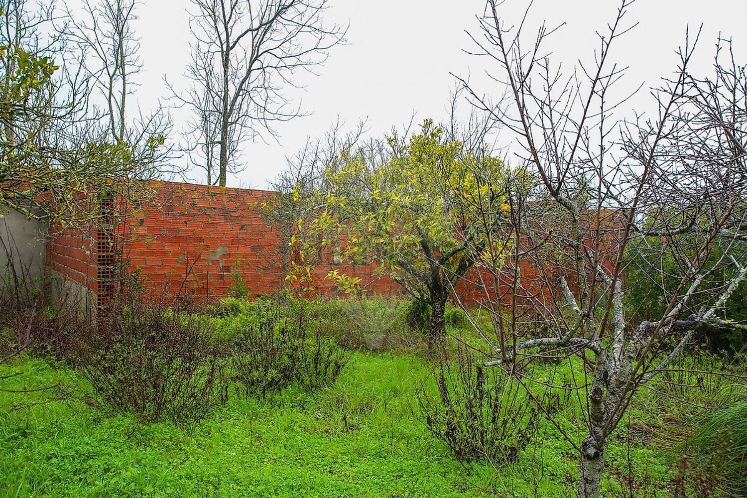 小楼房或独栋别墅出售Azinhaga Areosa - 花园