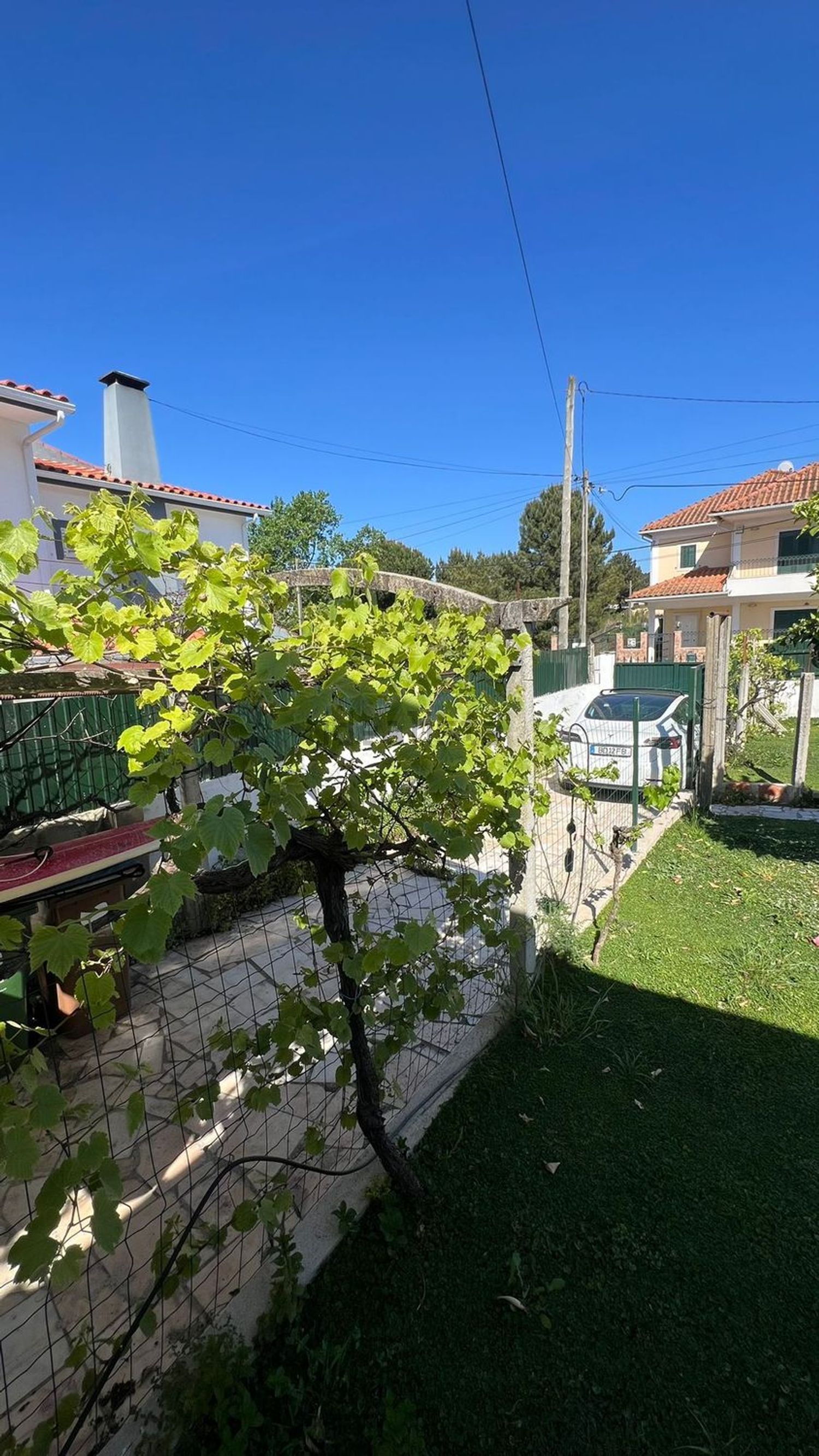 出租小楼房或独栋别墅在Rua Rui Cinatti, 391 - 花园