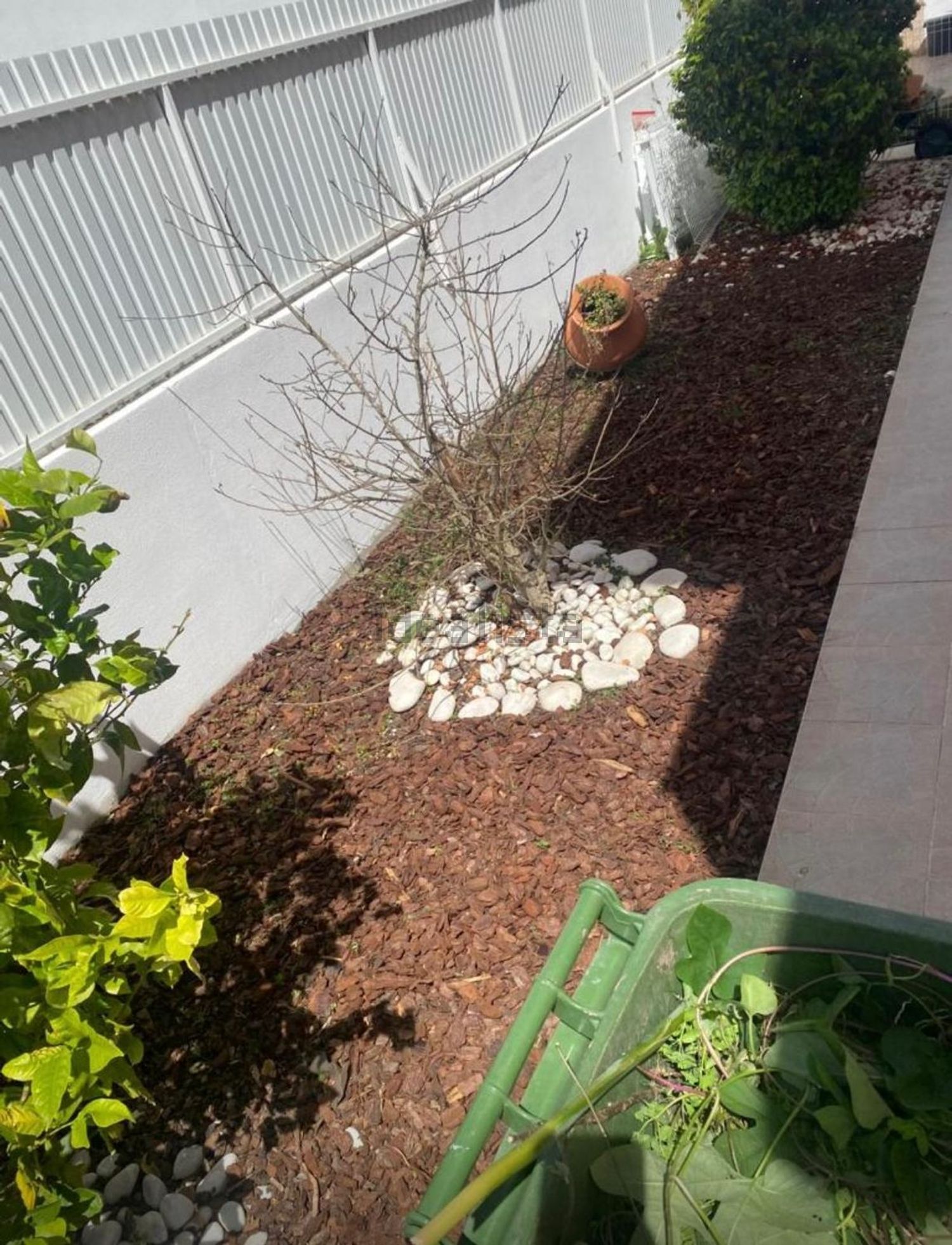 小楼房或独栋别墅出售在Vale Figueira - Carcereira - 花园