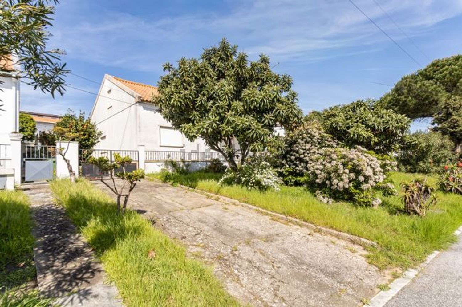 小楼房或独栋别墅出售在Rua Padre Cruz - 花园