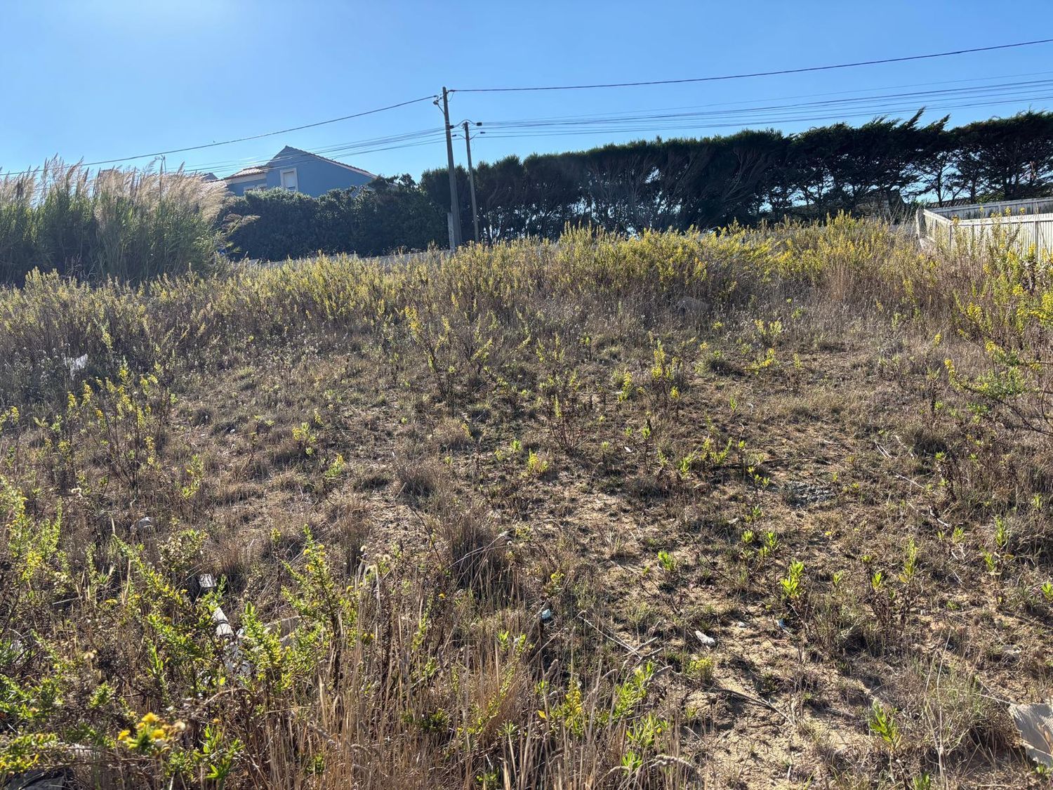 小楼房或独栋别墅出售在Rua Central - 花园