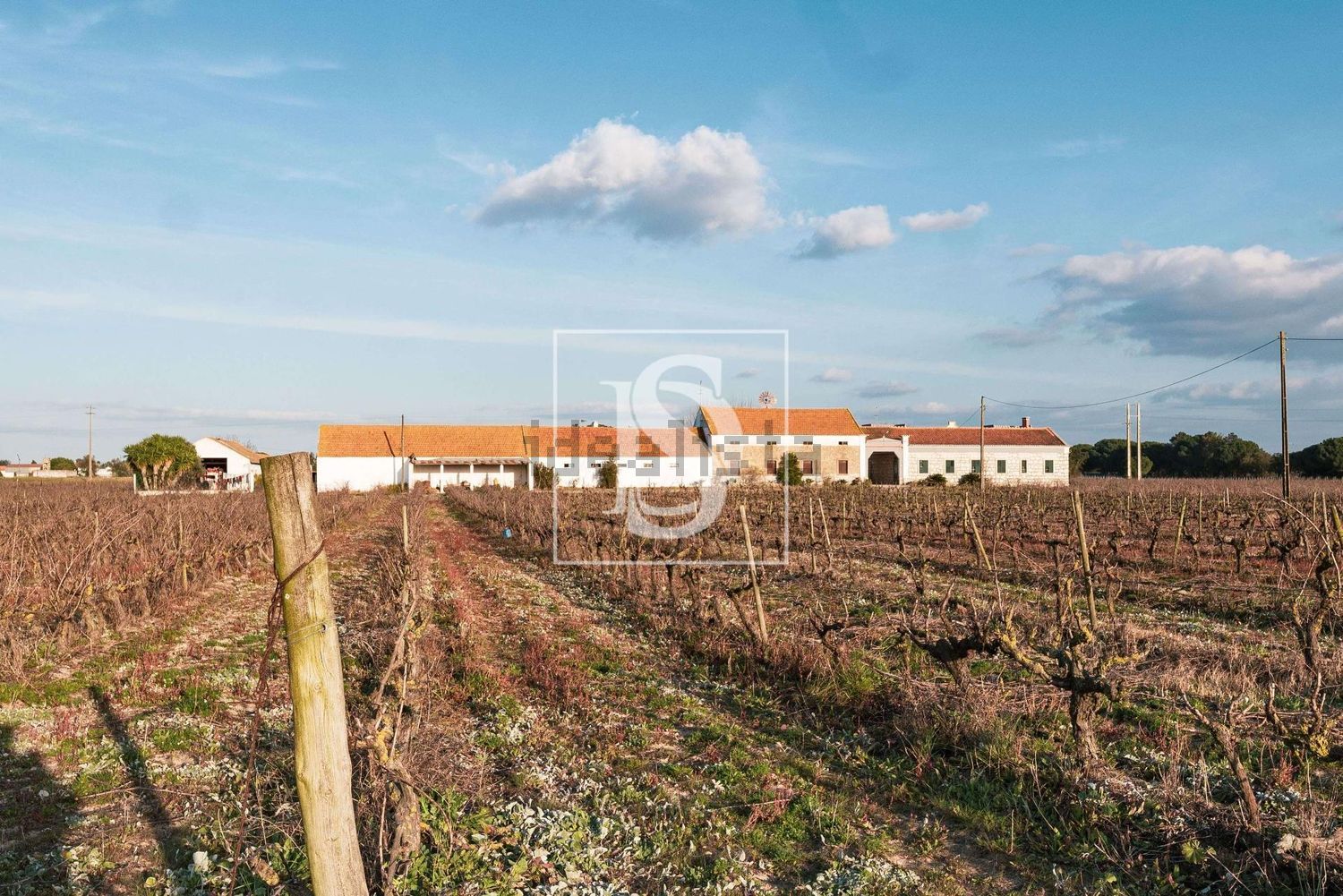 农庄出售在Poceirão e Marateca - 花园