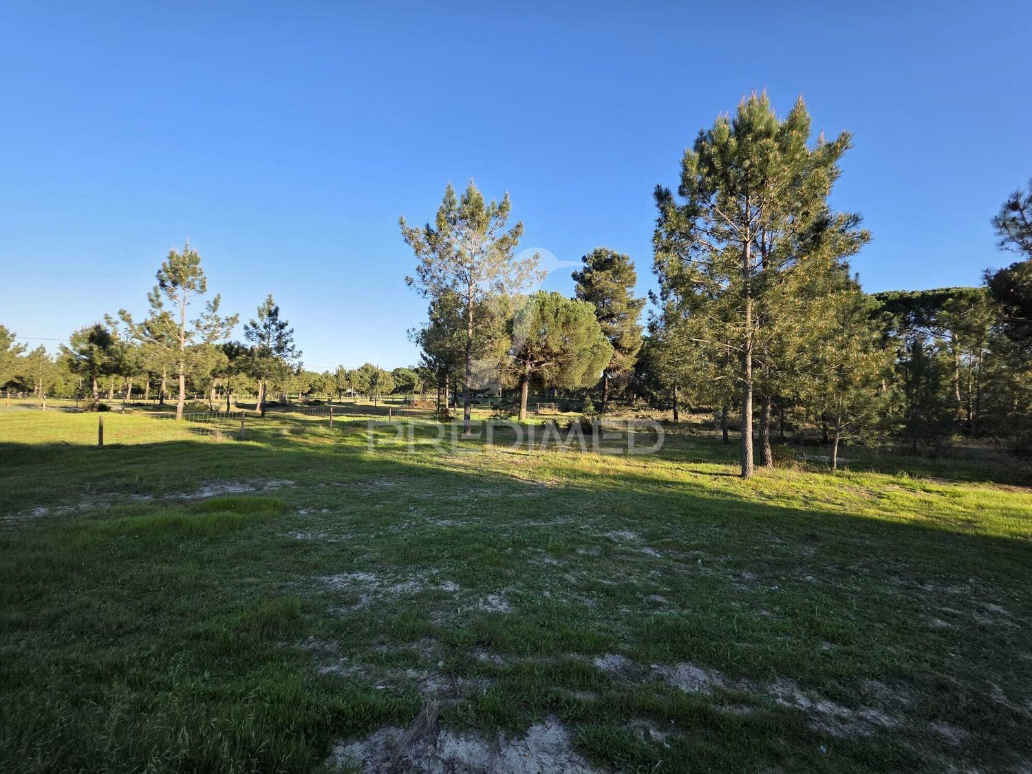 出租阿连特茹山Monte Seco - 花园