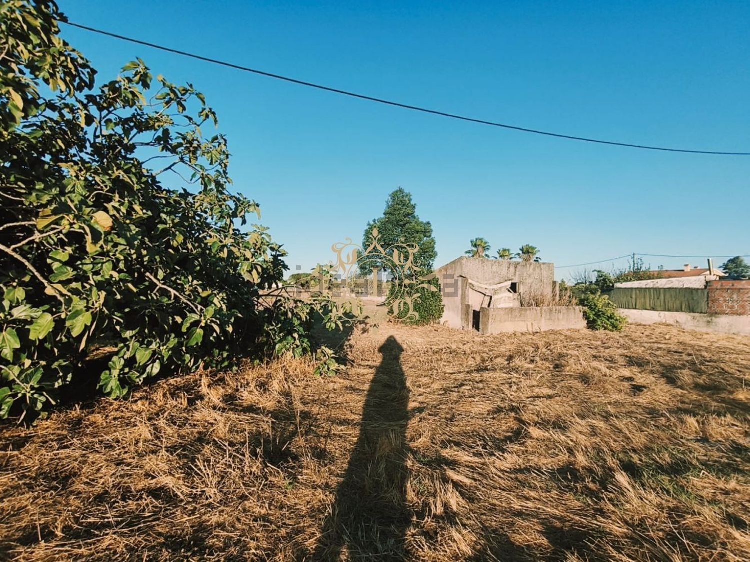 小楼房或独栋别墅出售在Poceirão e Marateca - 花园