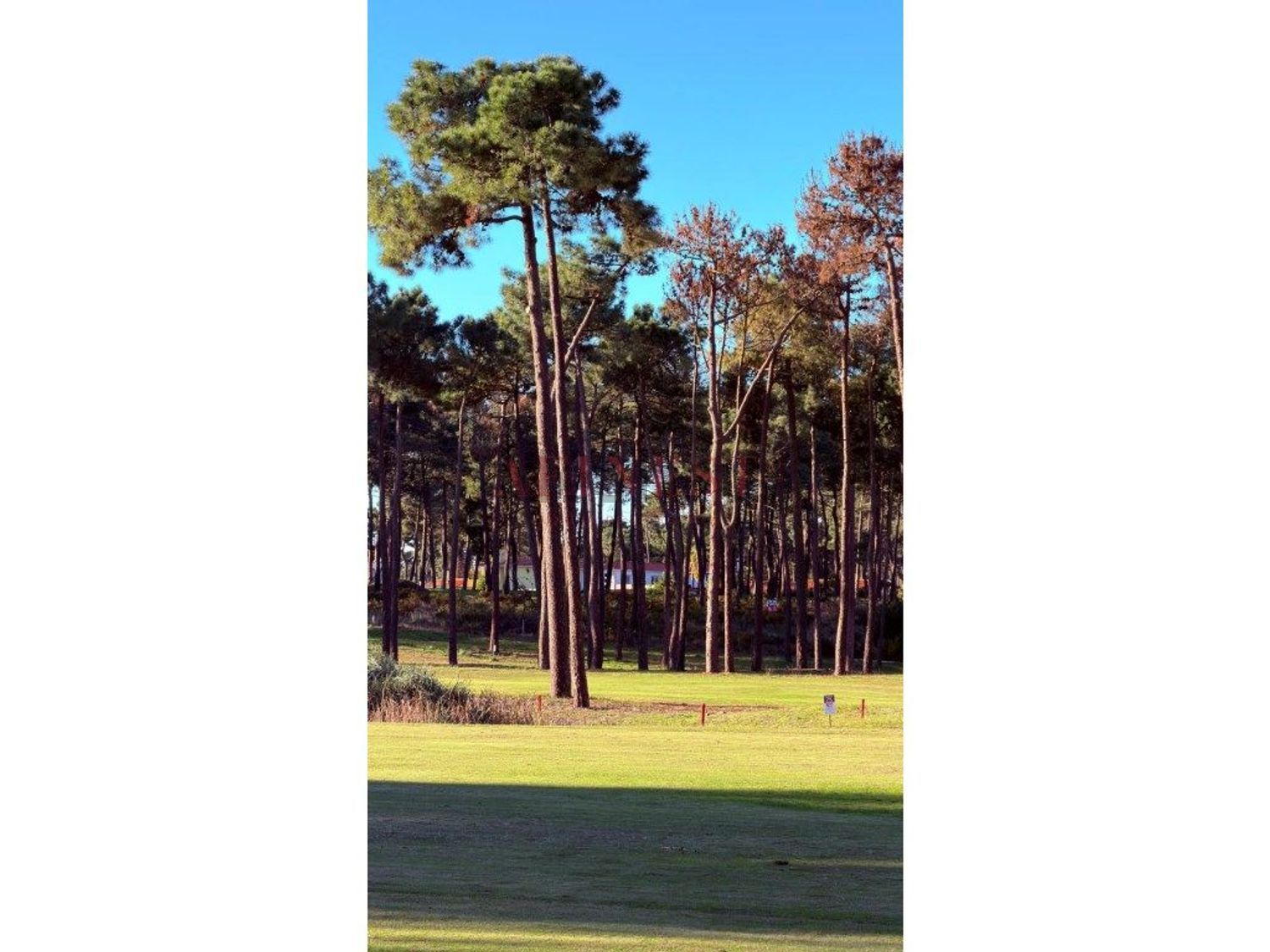 小楼房或独栋别墅出售在Rua do Tojo - 照片