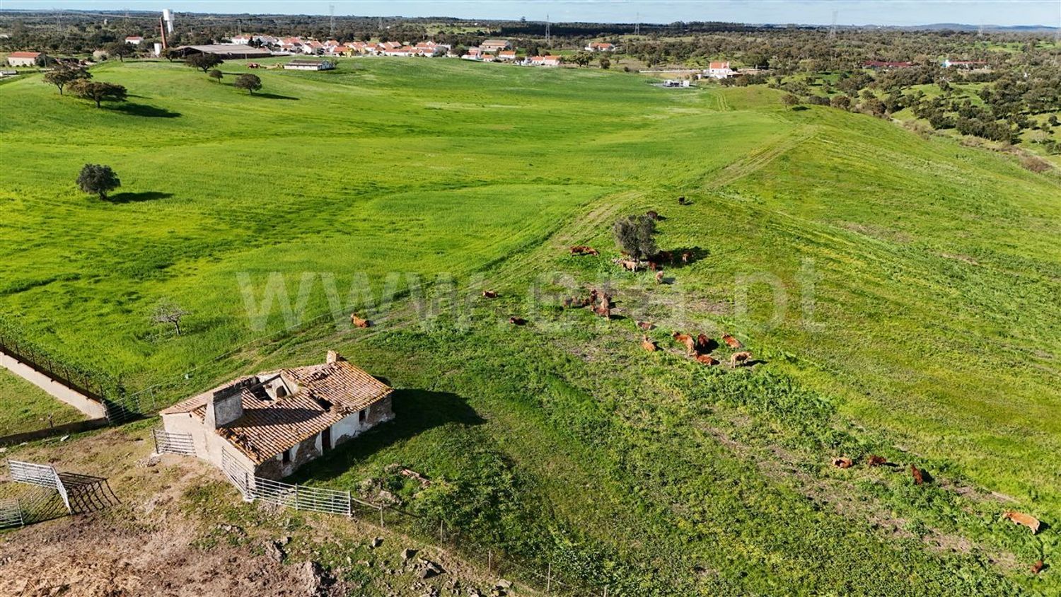 庄园出售在Abela - 花园