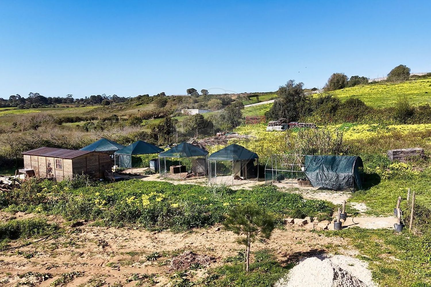 小楼房或独栋别墅出售在Rua da Liberdade - 照片