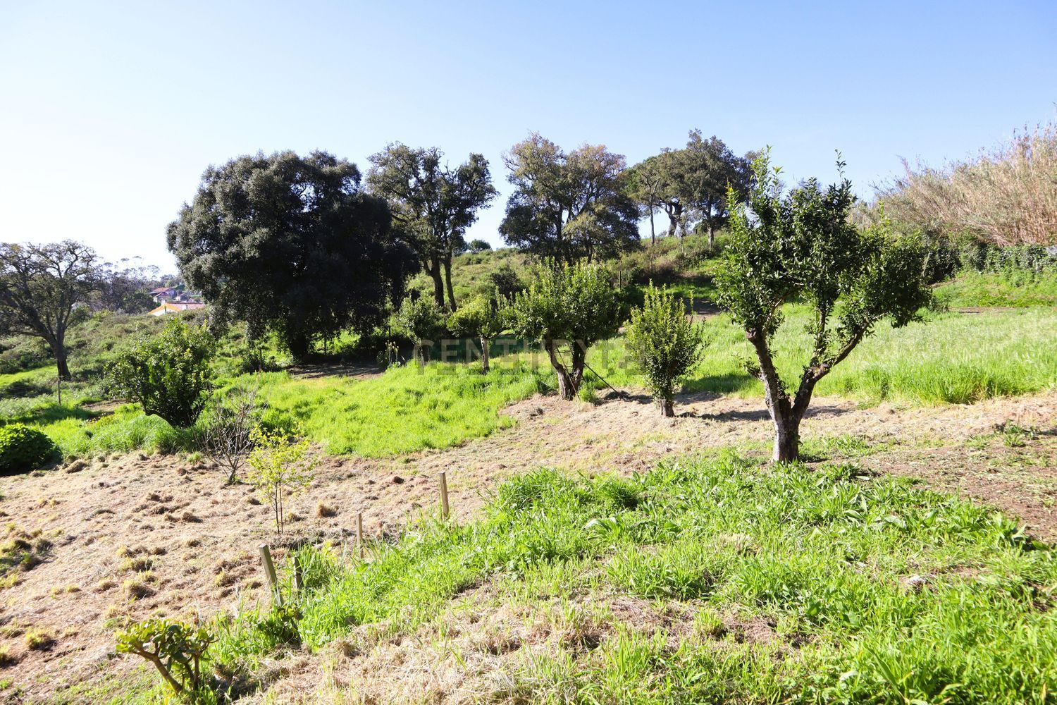 小楼房或独栋别墅出售在Estrada de Santo Estevão - 花园