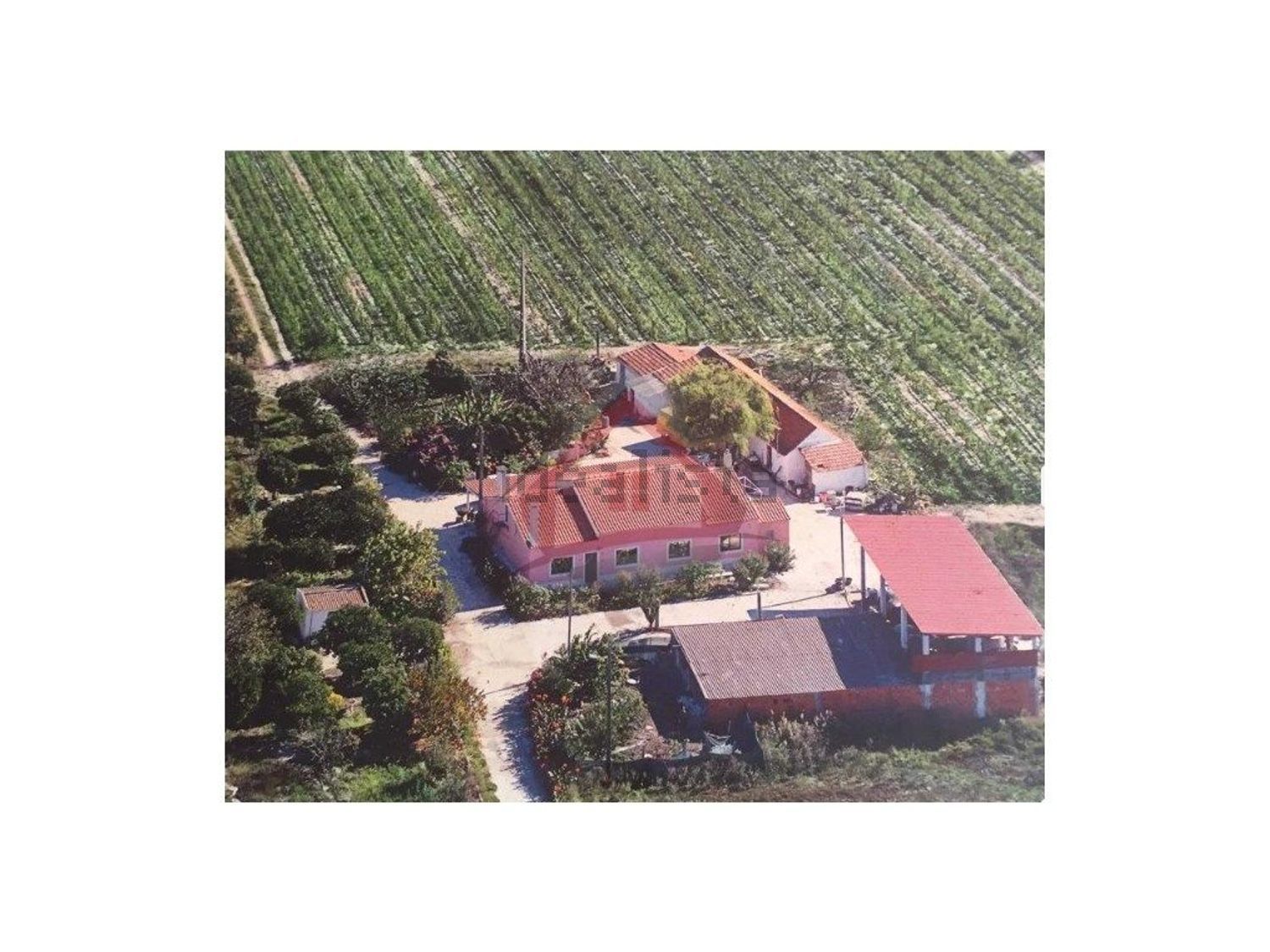 庄园出售在Largo da Fonte - 照片