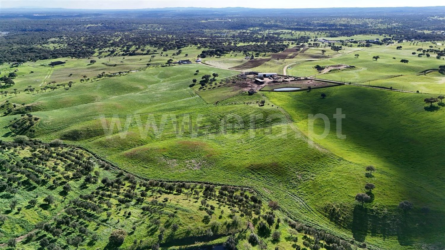 庄园出售在Abela - 视线