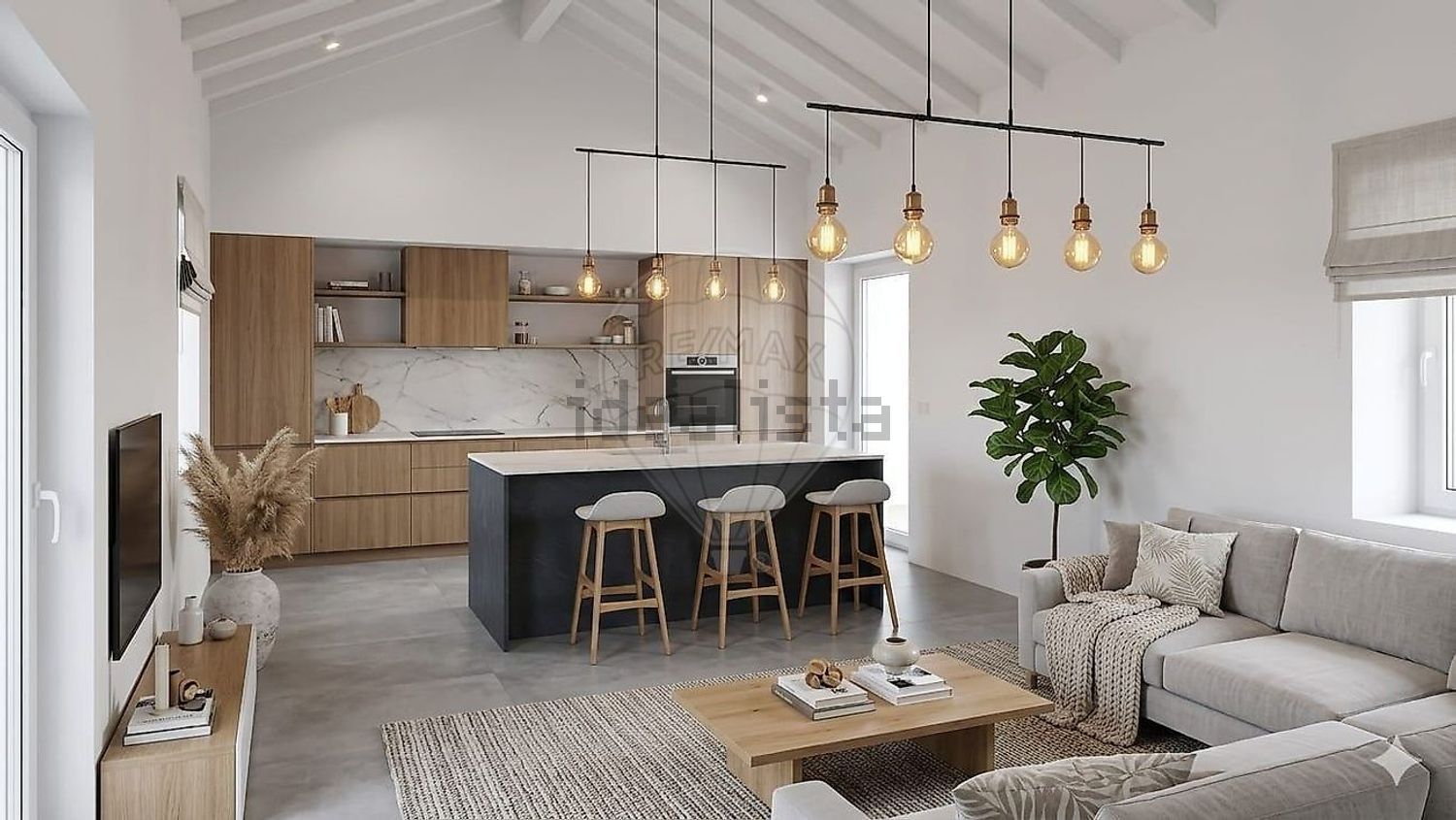 小楼房或独栋别墅出售N116 - 客厅