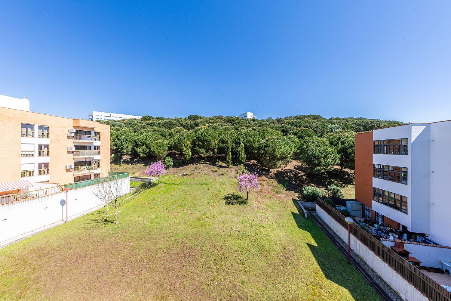 公寓 t2出售在Rua Professor Doutor José Pinto Peixoto - 视线