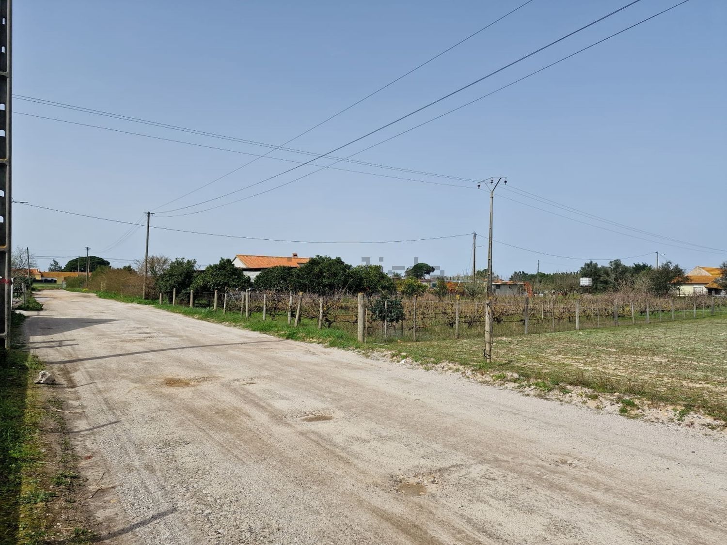 庄园出售在Poceirão e Marateca - 花园