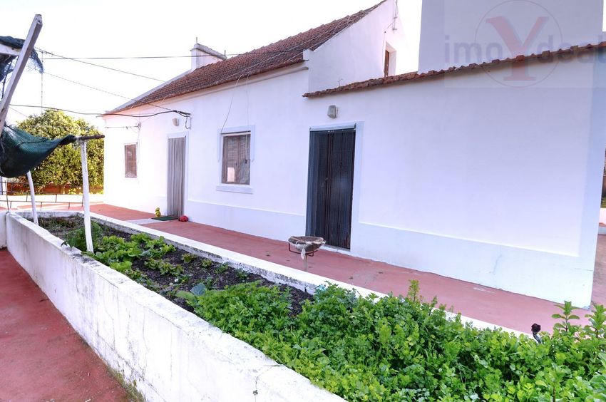 庄园出售在Melides