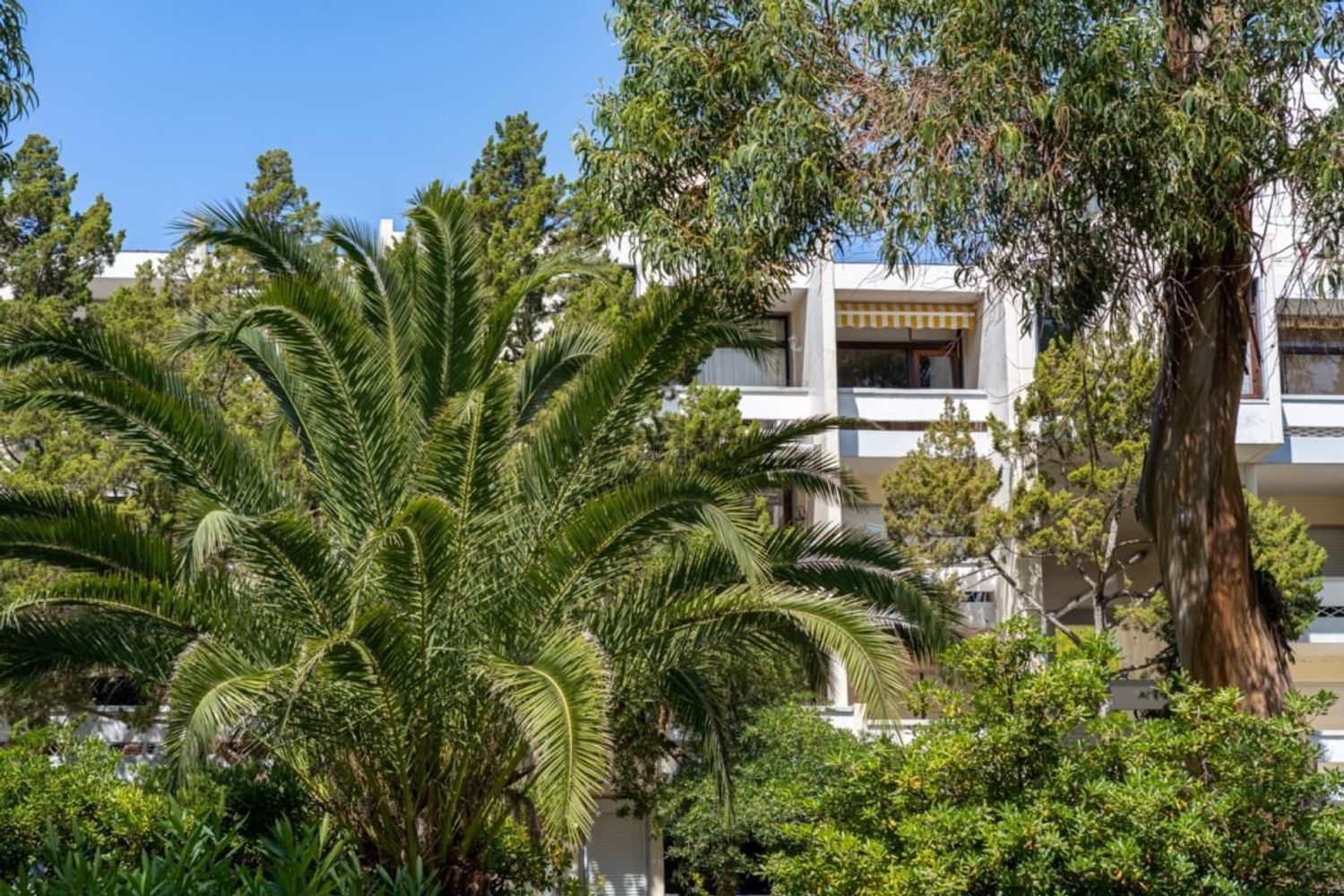 出租公寓 t2在Rua da Azinheira - 外立面