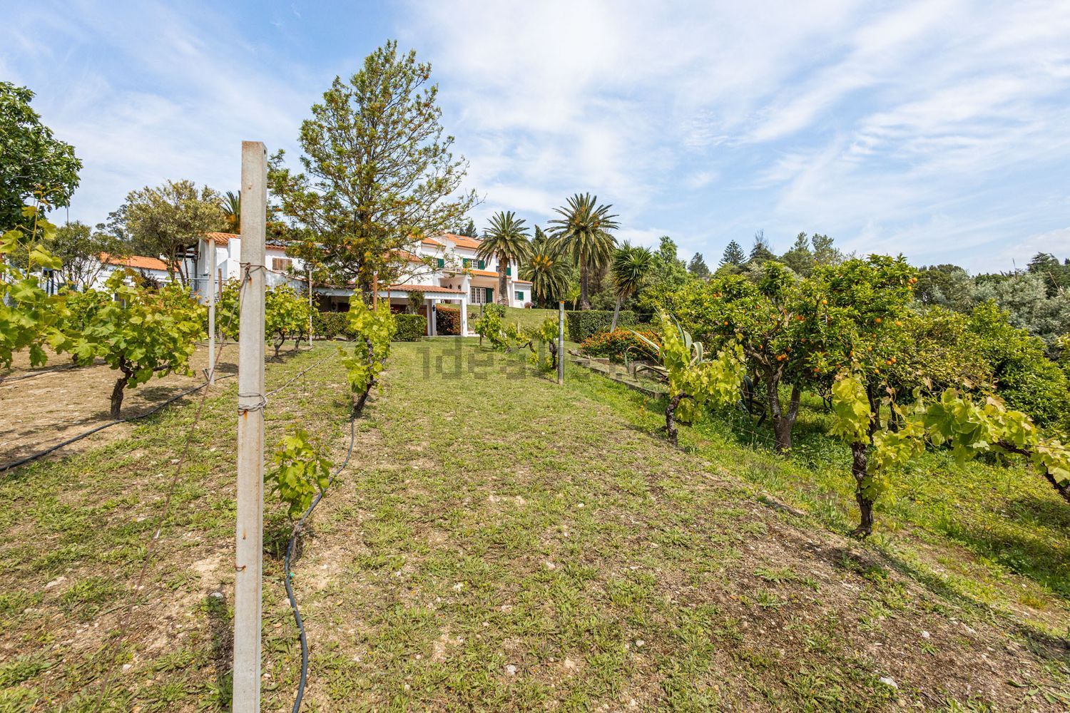 小楼房或独栋别墅出售Estr. da Serralheira de Baixo - 花园