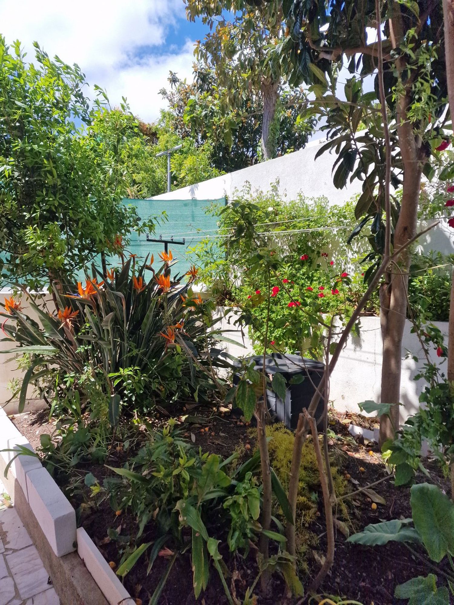 双拼别墅出售在Rua Fernando Namora, 6 - 花园