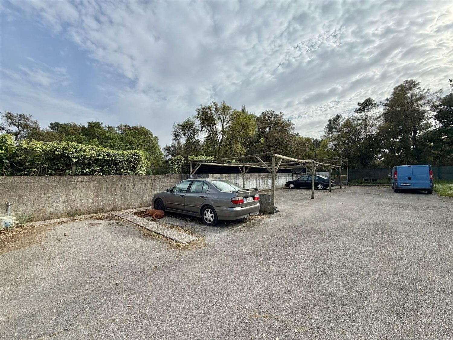 小楼房或独栋别墅出售在Alhos Vedros - 花园