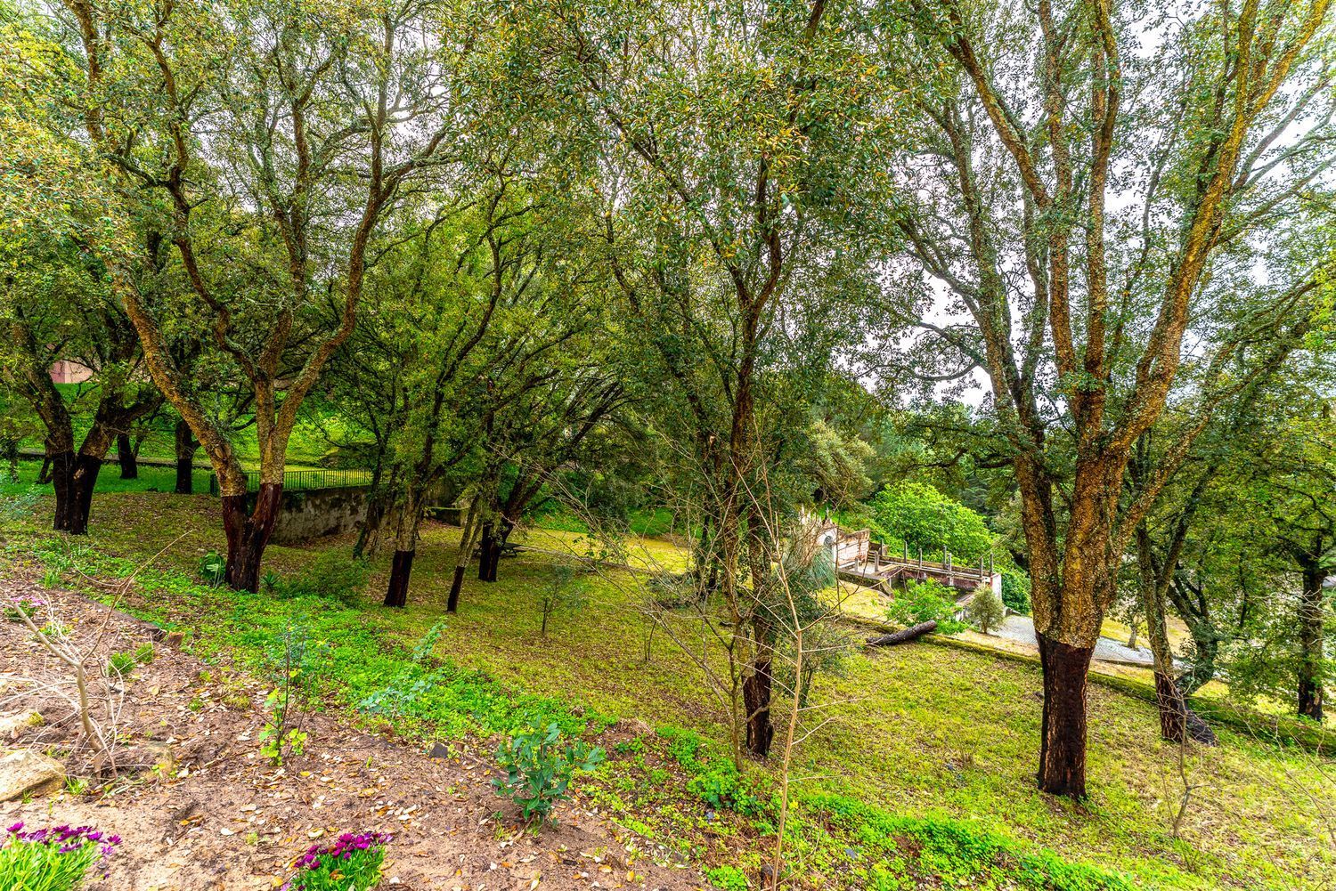 出租小楼房在Estrada da Lagoa Azul - 花园