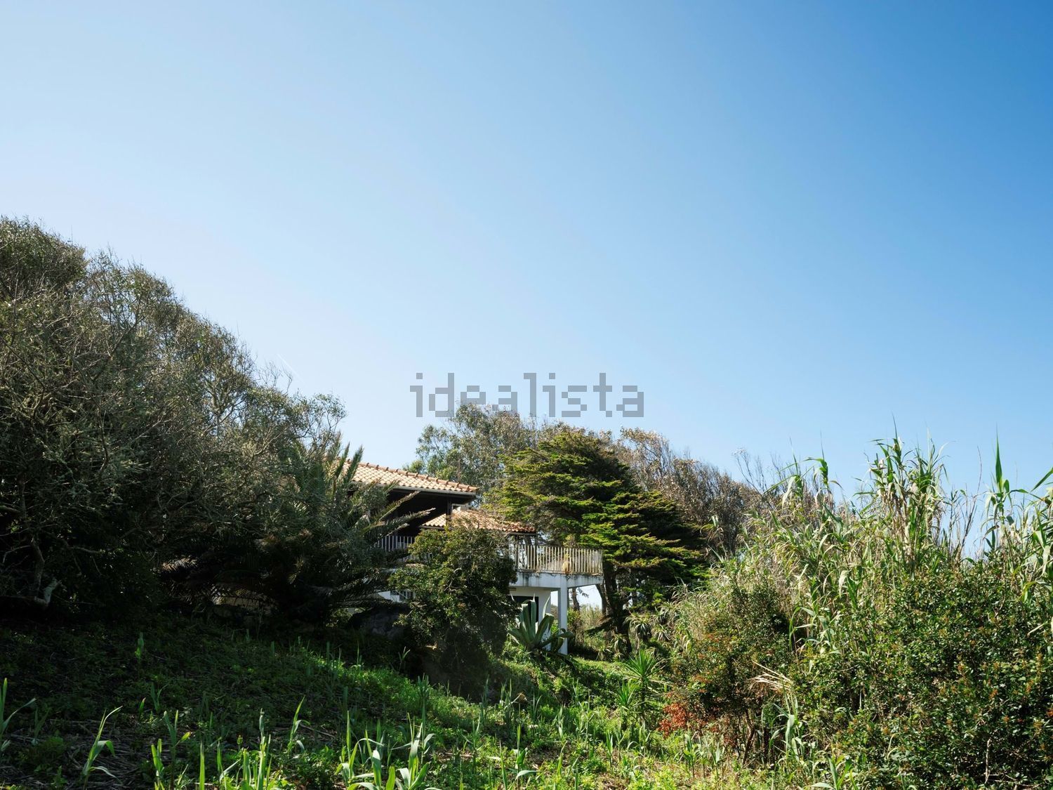 小楼房或别墅出售在Azenhas do Mar - Praia das Maças - Praia Grande - 花园