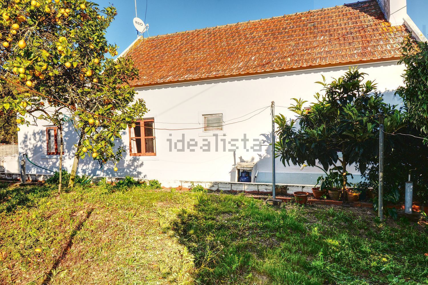 庄园出售在Melides - 外立面