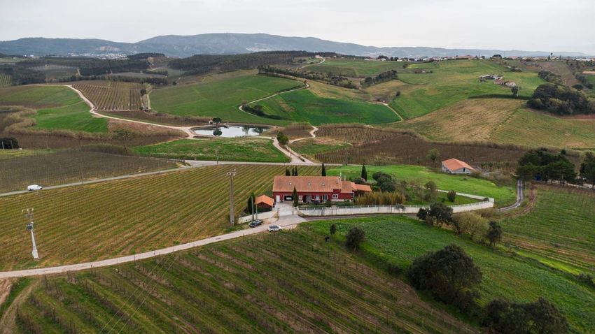 小楼房或独栋别墅出售在Peral