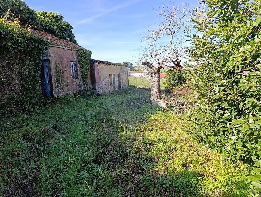 小楼房或独栋别墅出售在Rua Almeida