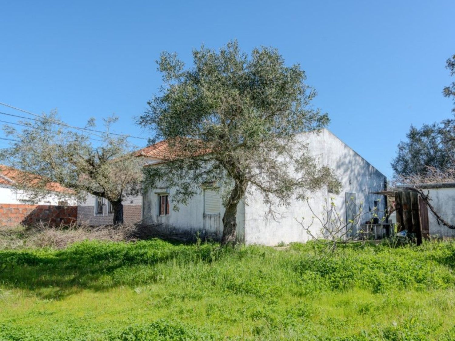 庄园出售在Rua José Dias Coelho, 9 - 花园