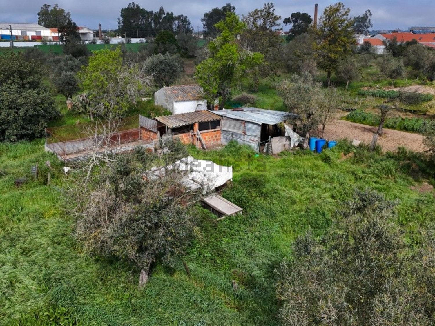 庄园出售在Rua José Dias Coelho, 9 - 花园