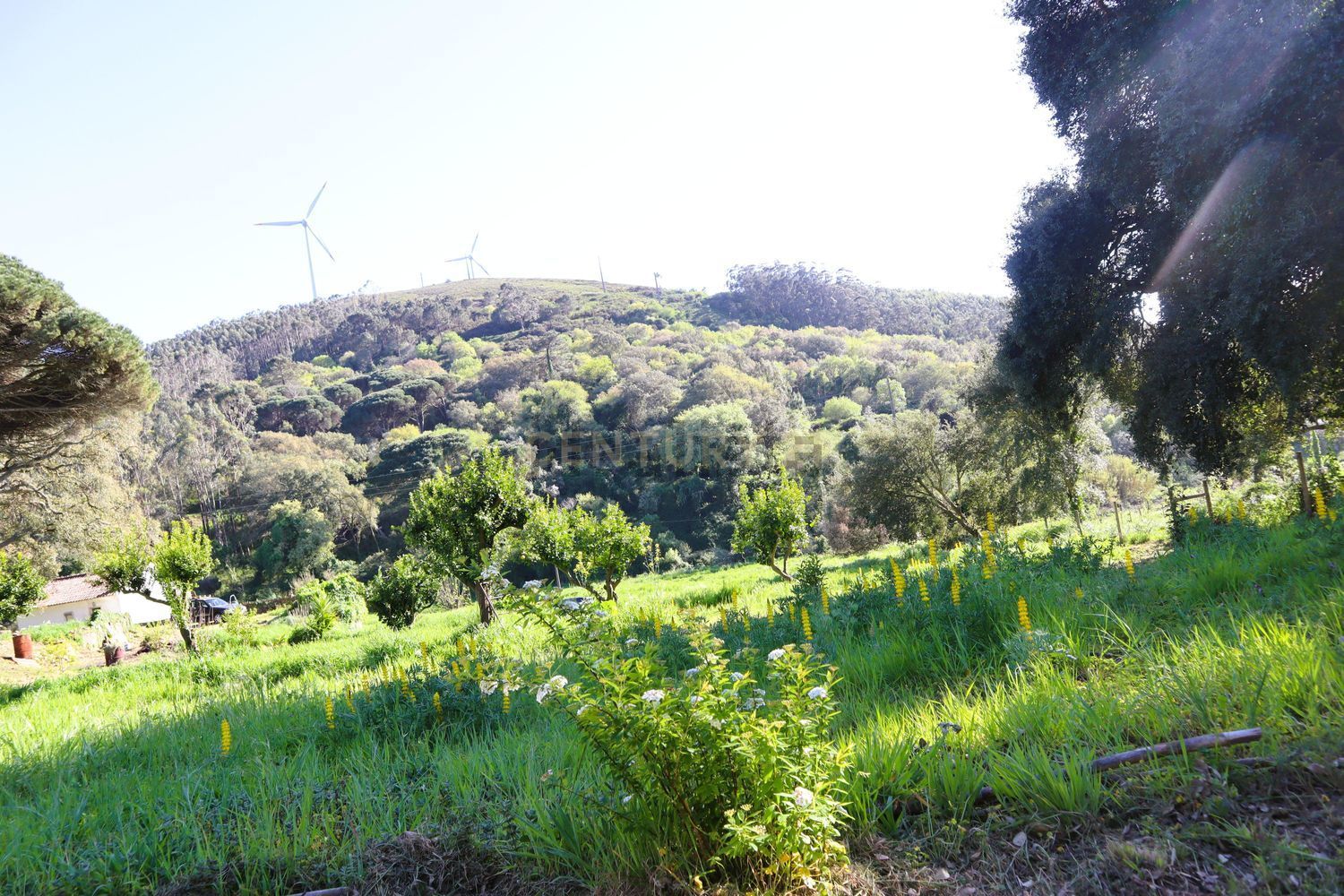 小楼房或独栋别墅出售在Estrada de Santo Estevão - 花园