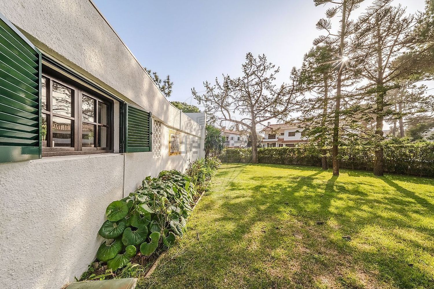 小楼房或独栋别墅出售在Rua das Corredouras - 花园