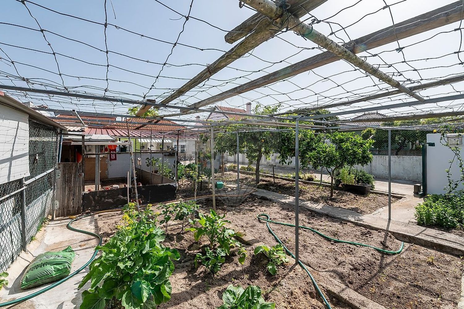 小楼房或独栋别墅出售在Rua Bento de Jesus Caraça - 花园