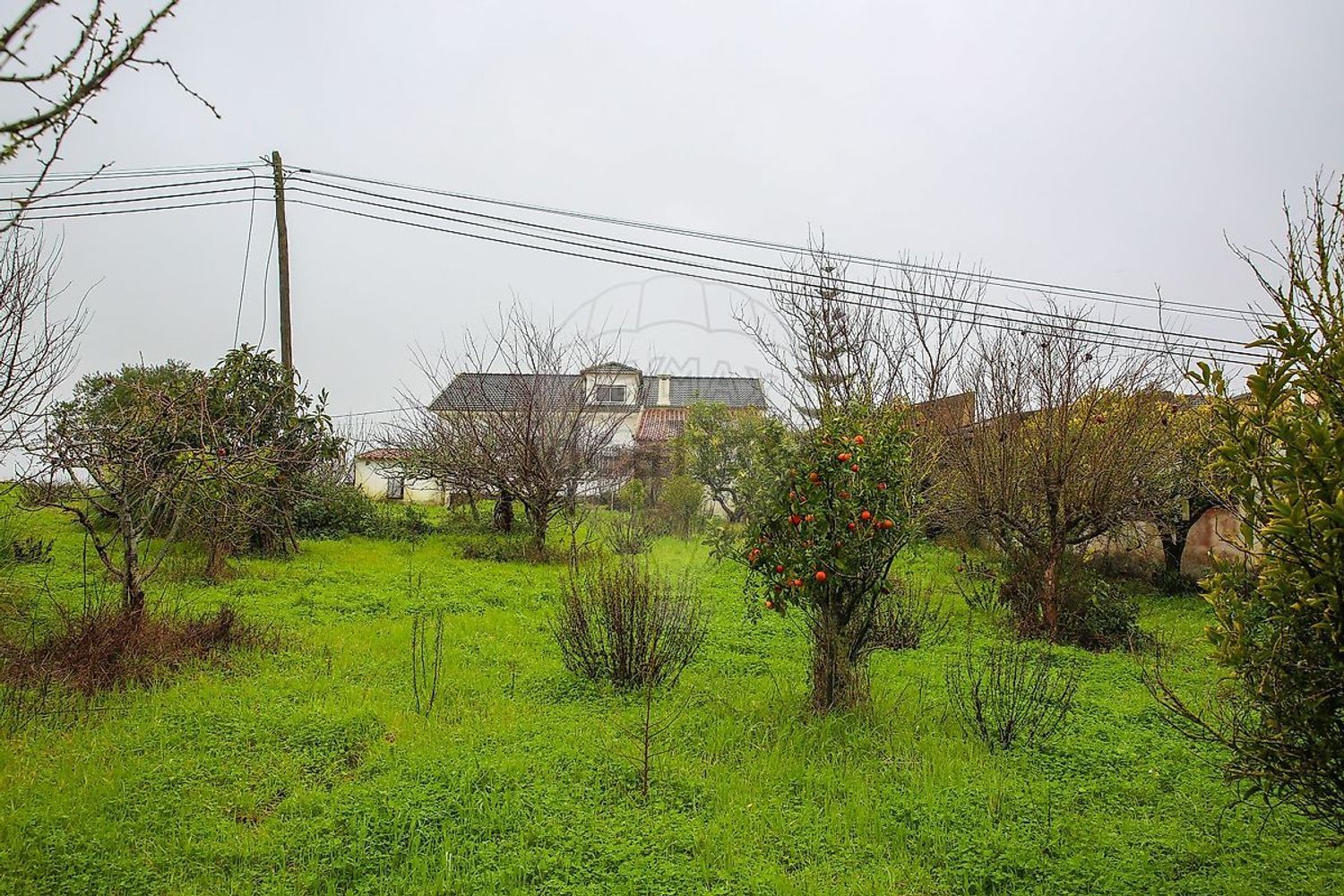 小楼房或独栋别墅出售Azinhaga Areosa - 花园