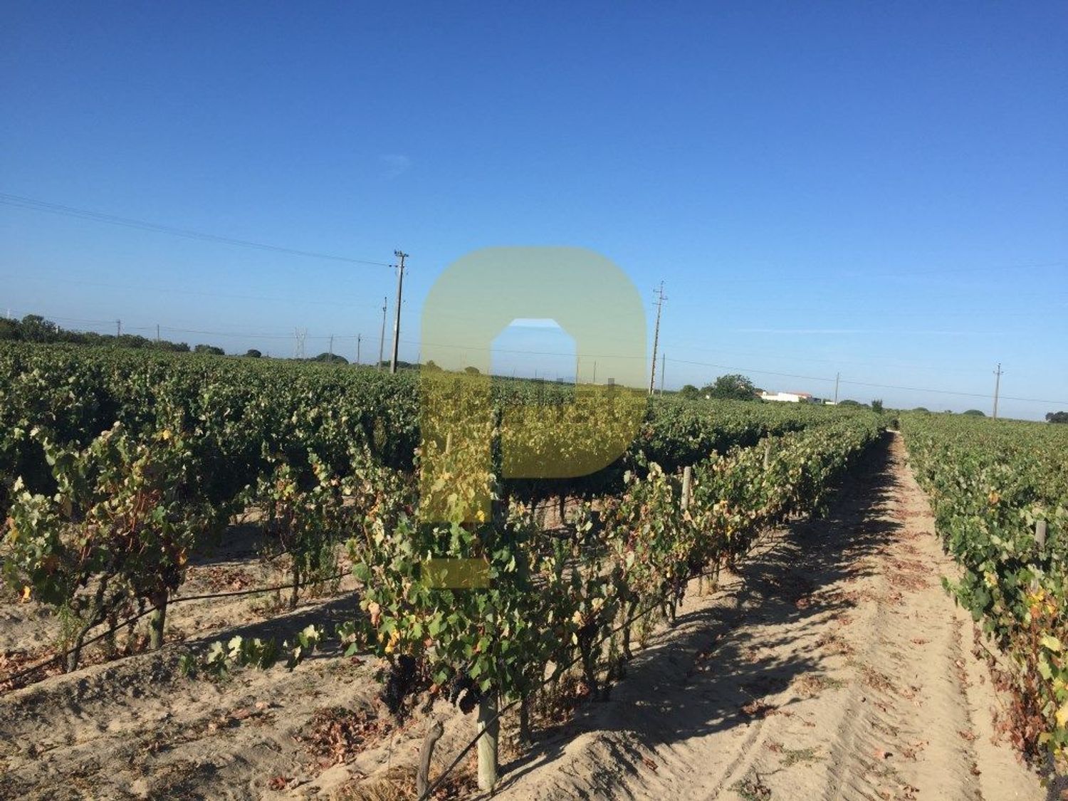 庄园出售在Poceirão e Marateca - 花园