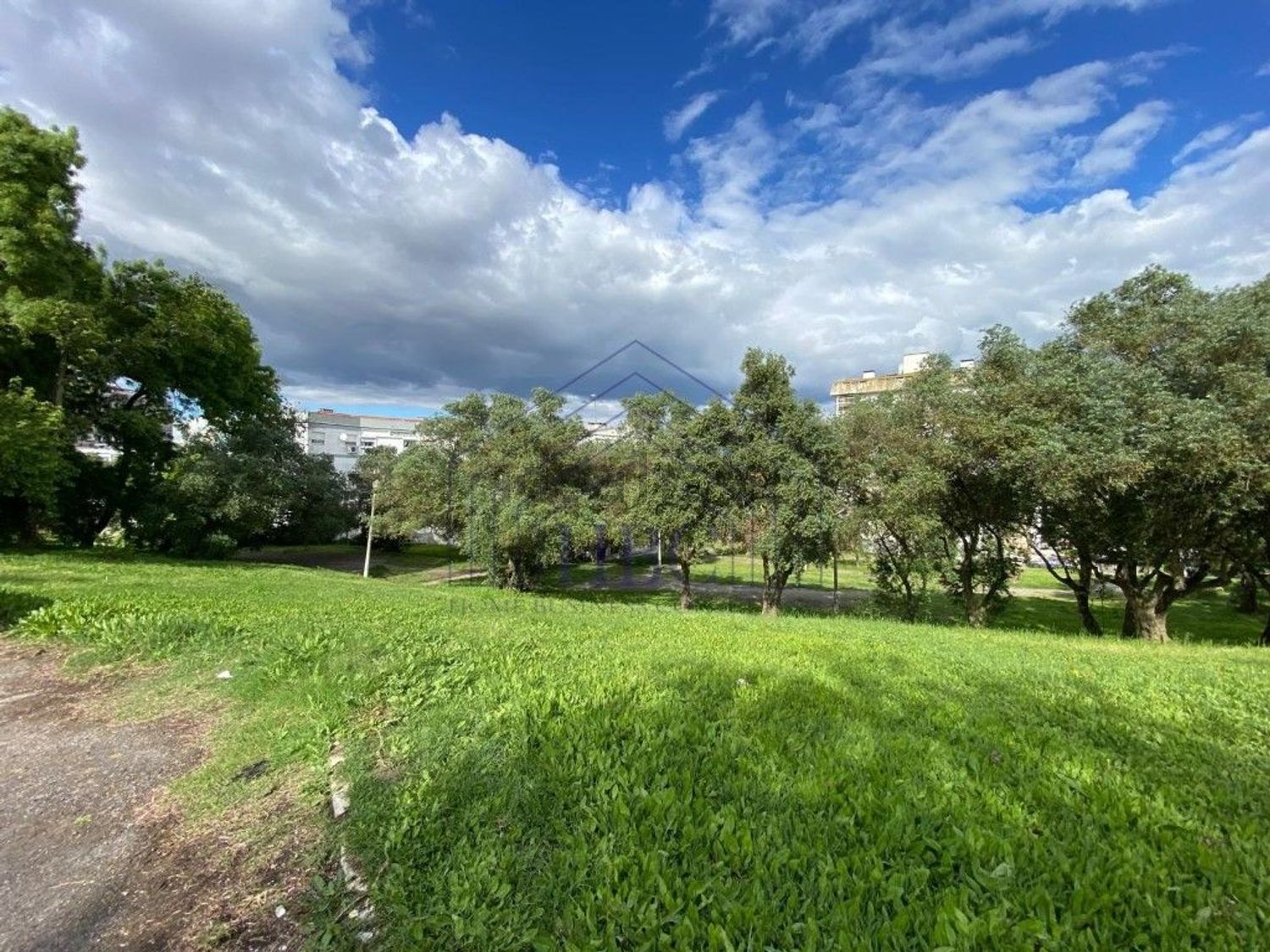 出租公寓 t1在Olivais - 环境