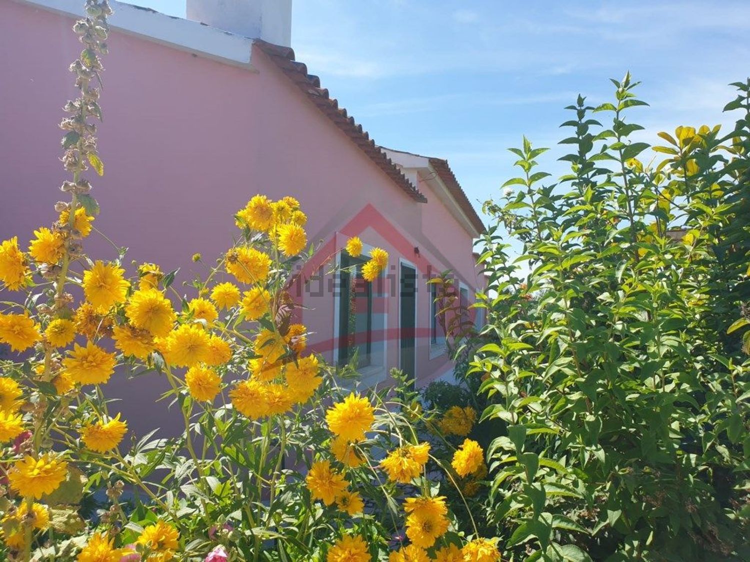 庄园出售在Largo da Fonte - 外立面