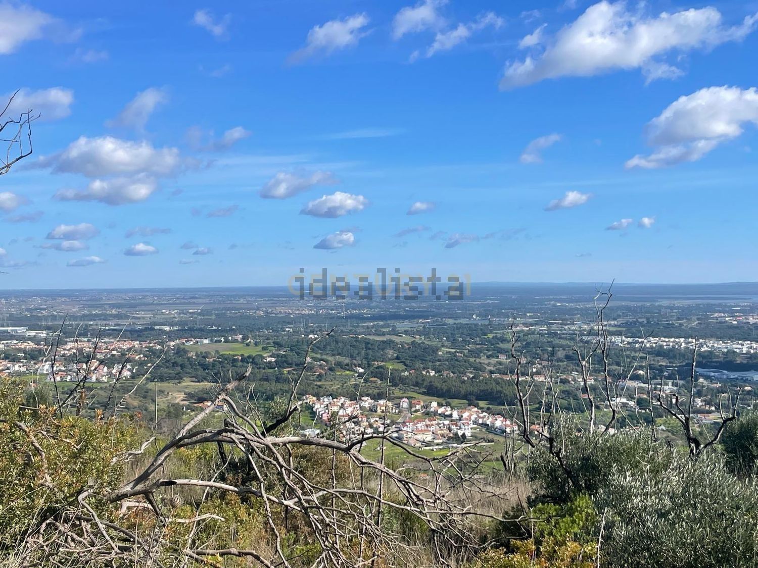 庄园出售Cm1052 s/n - 视线