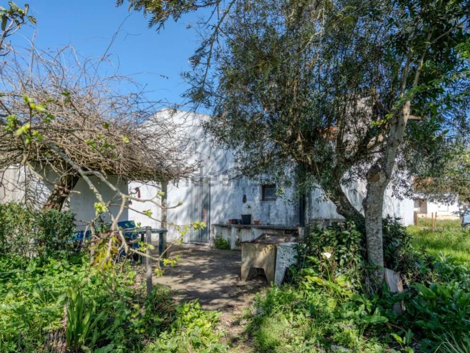 庄园出售在Rua José Dias Coelho, 9 - 花园